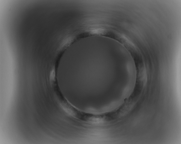 X0000115350502200911101139