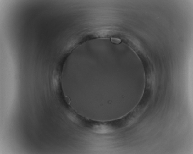 X0000115350503200911101139