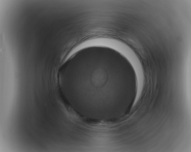 X0000115350504200911101139