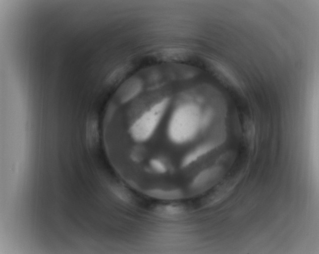 X0000115350506200911101139