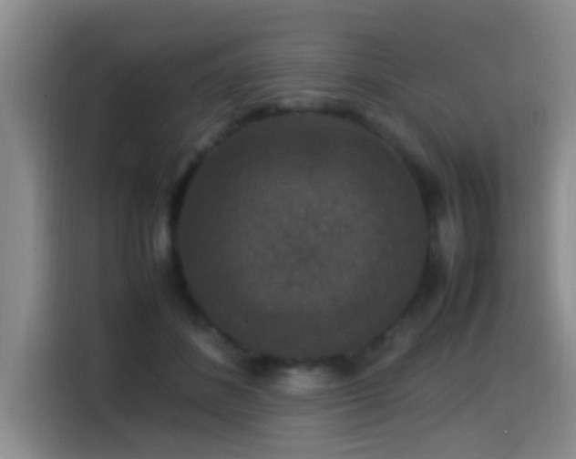 X0000115350508200911101139