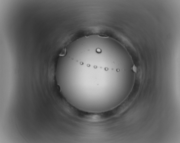 X0000115350509200911101139