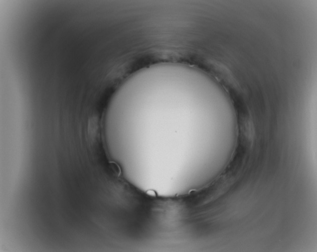 X0000115350511200911101139