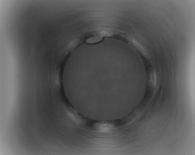 X0000115350512200911101139