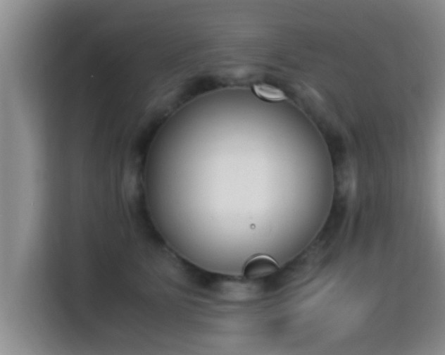 X0000115350515200911101139