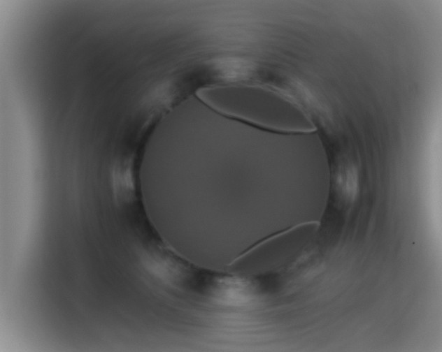 X0000115350516200911101139