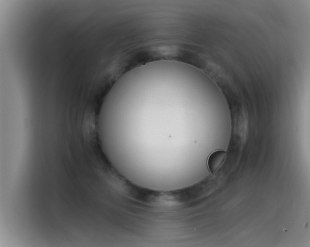 X0000115350518200911101139
