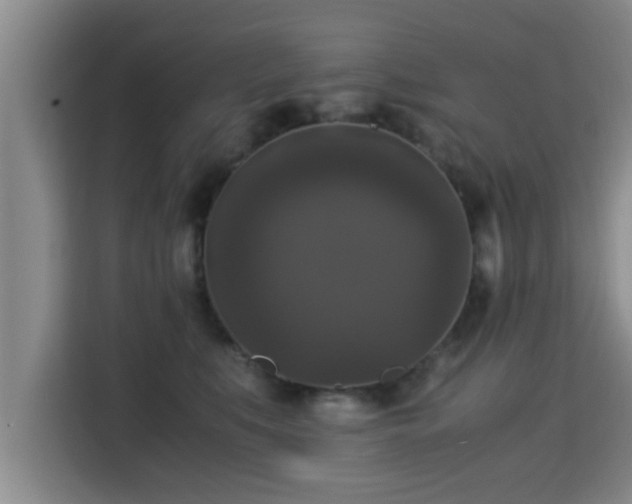 X0000115350519200911101139