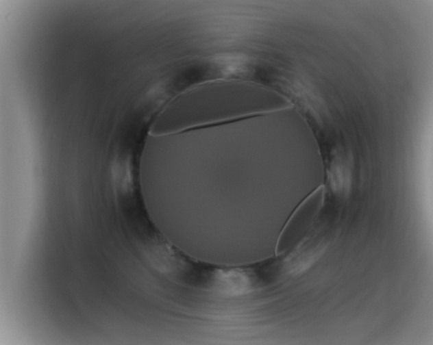 X0000115350520200911101139