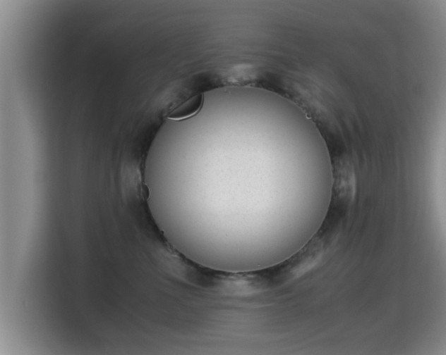 X0000115350523200911101139