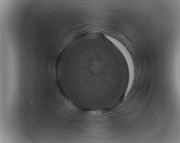 X0000115350524200911101139