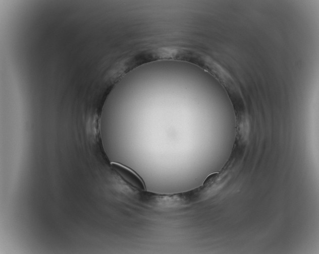 X0000115350525200911101139