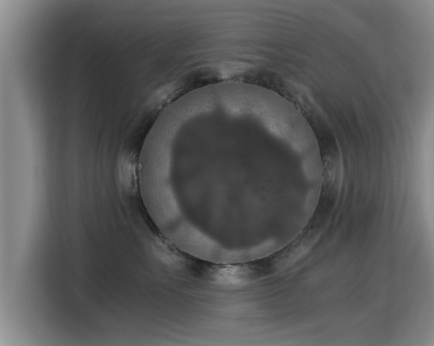 X0000115350527200911101138