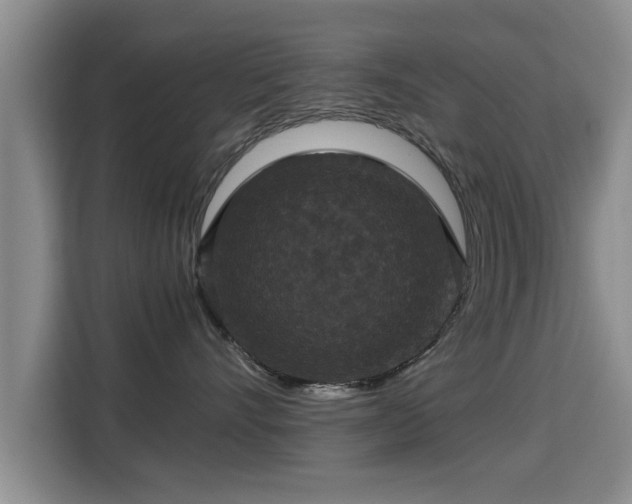 X0000115350528200911101138