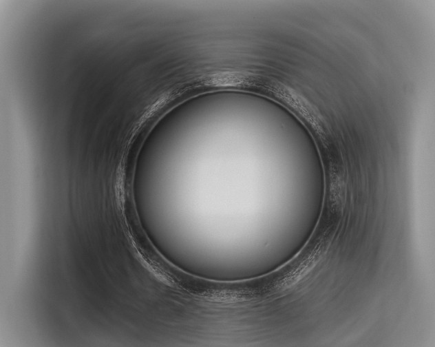 X0000115350530200911101138