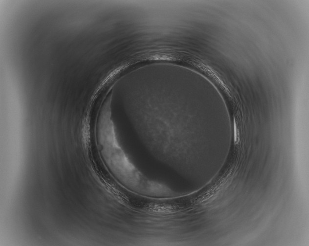 X0000115350531200911101138