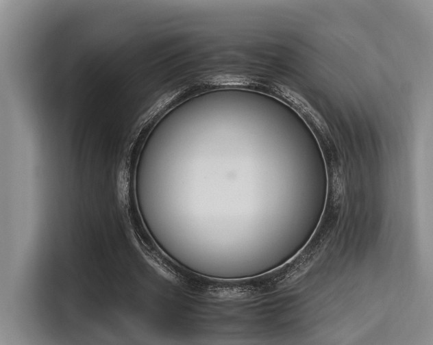 X0000115350533200911101138