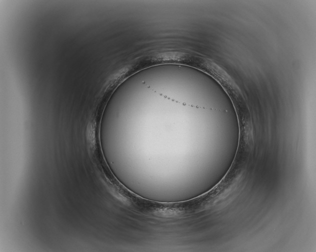 X0000115350537200911101138