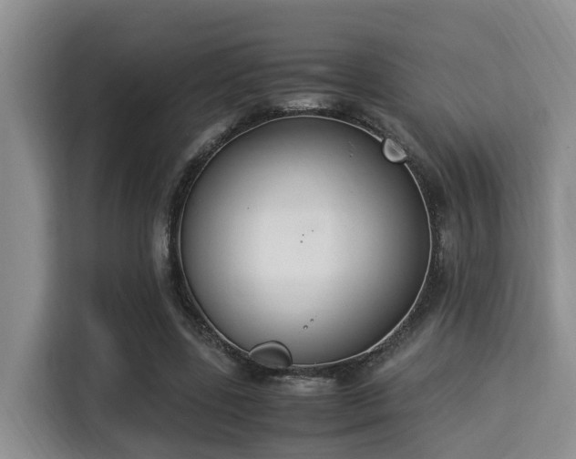 X0000115350539200911101138
