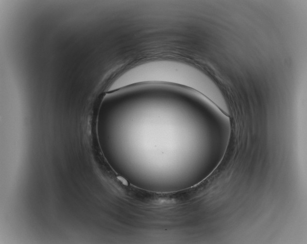 X0000115350543200911101138