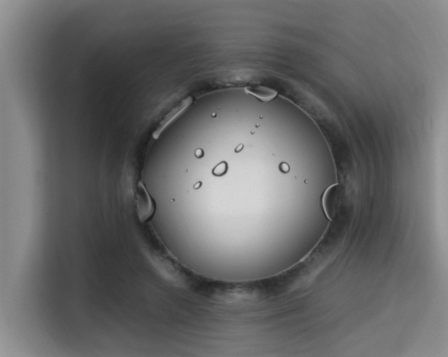 X0000115350546200911101138