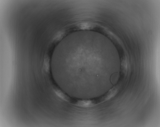 X0000115350554200911101138