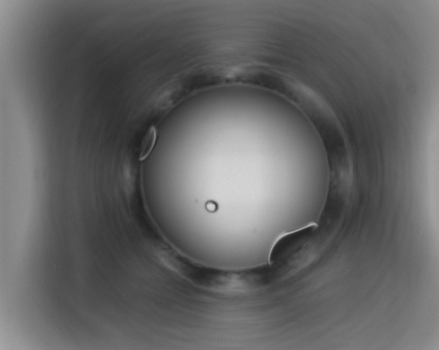 X0000115350558200911101138