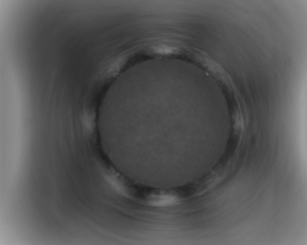 X0000115350559200911101138