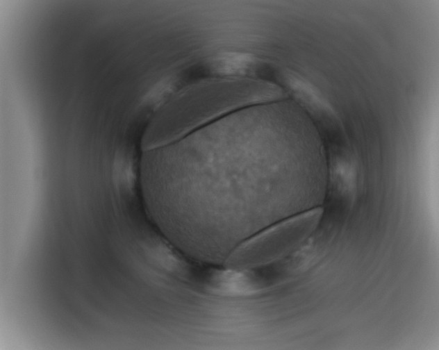 X0000115350566200911101138
