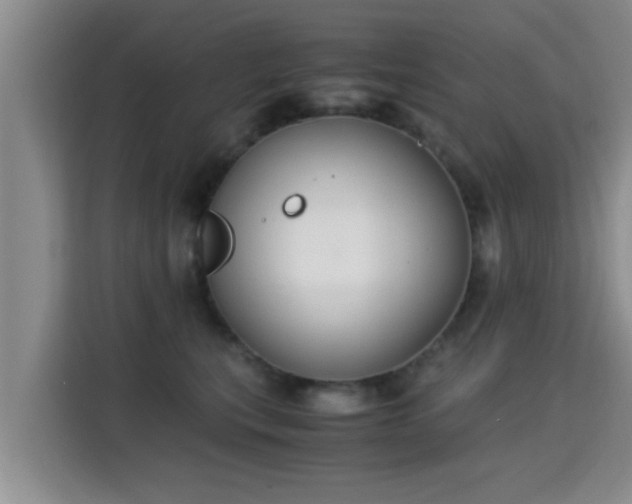 X0000115350567200911101138