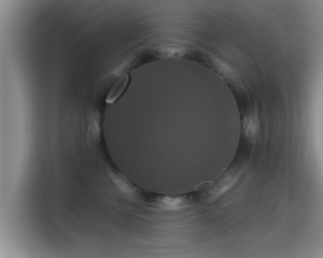 X0000115350570200911101138