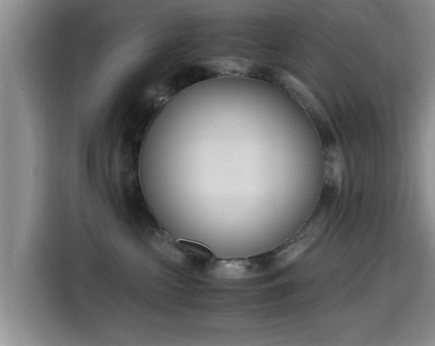 X0000115350573200911101138