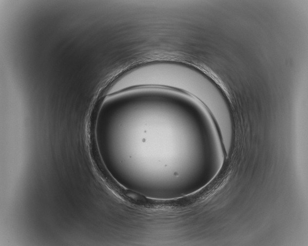 X0000115350581200911101138