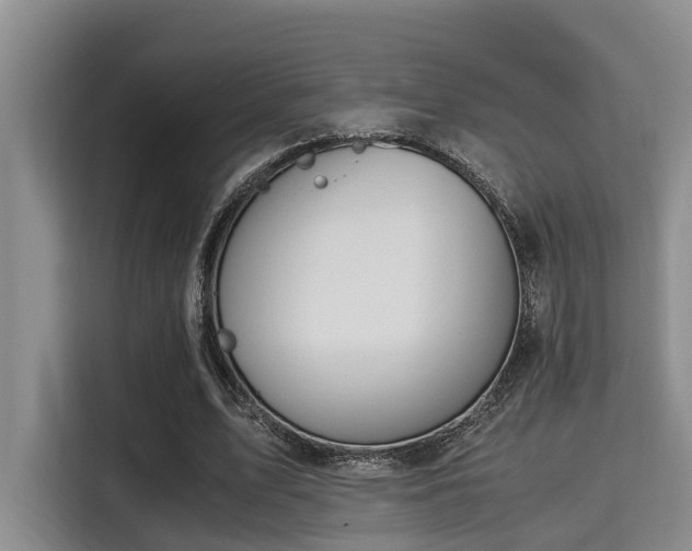 X0000115350583200911101138