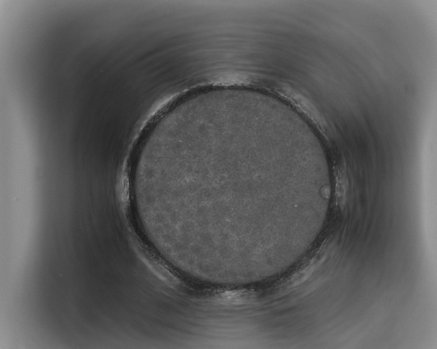 X0000115350584200911101138