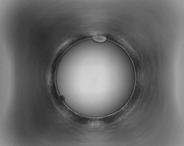 X0000115350587200911101138