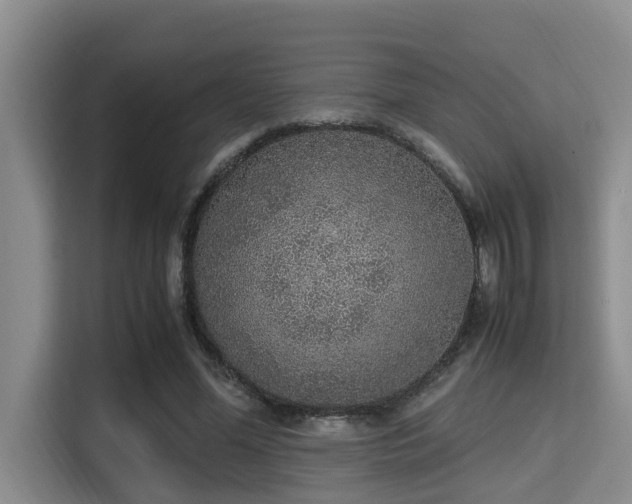 X0000115350588200911101138