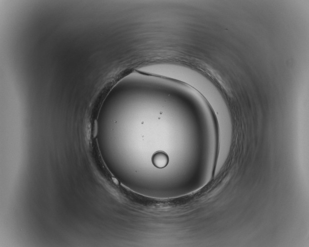 X0000115350589200911101138
