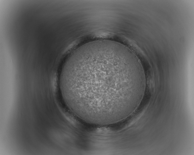 X0000115350591200911101138