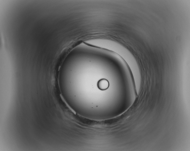 X0000115350595200911101138