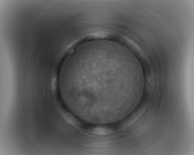 X0000115350596200911101138