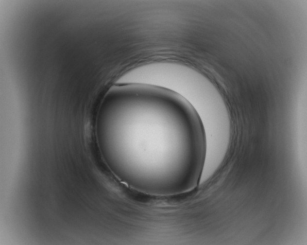 X0000115350597200911101138