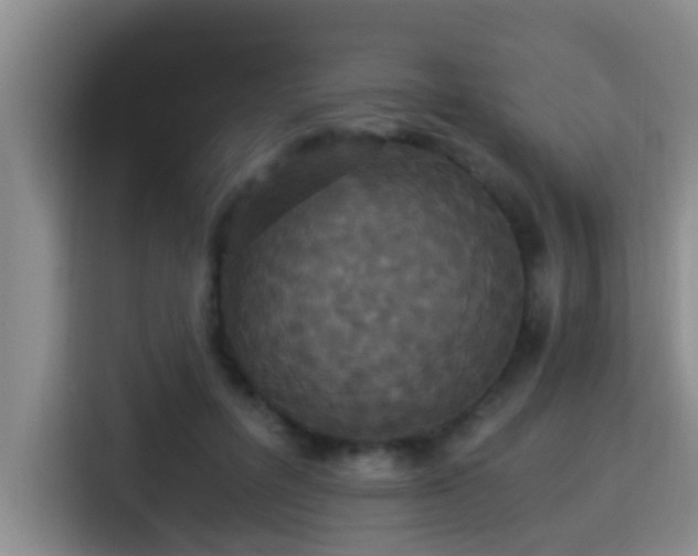 X0000115350600200911101138