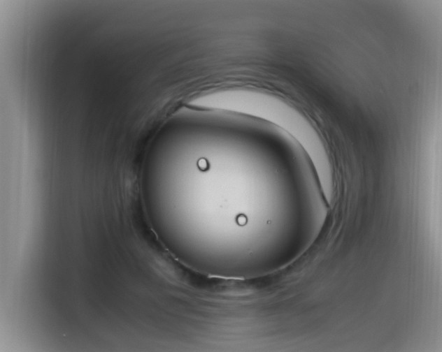 X0000115350601200911101138