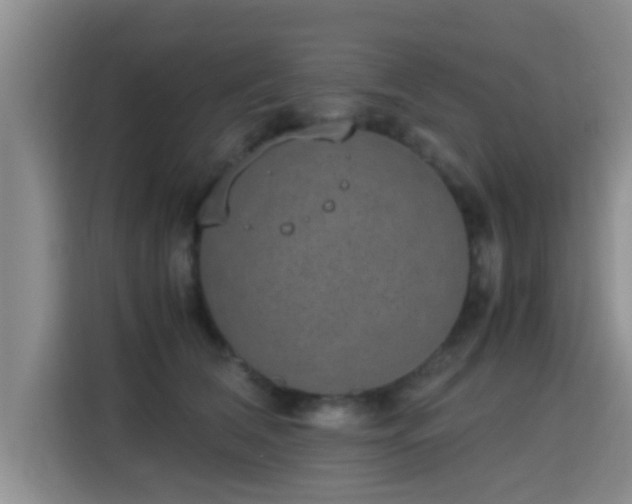 X0000115350612200911101137
