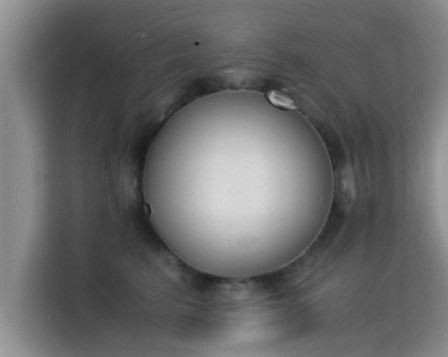 X0000115350615200911101137