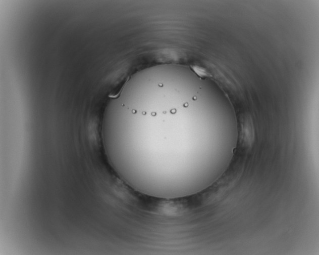 X0000115350616200911101137