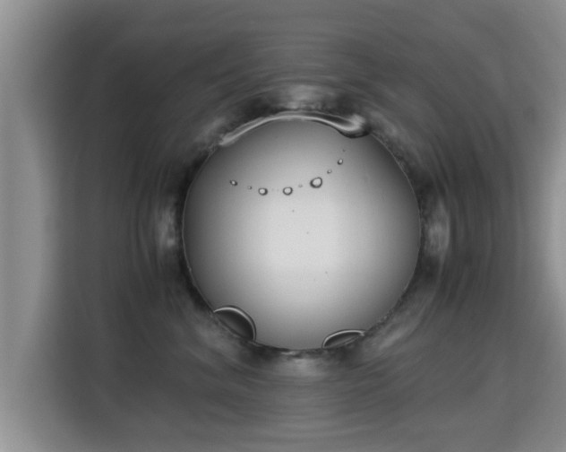 X0000115350620200911101137