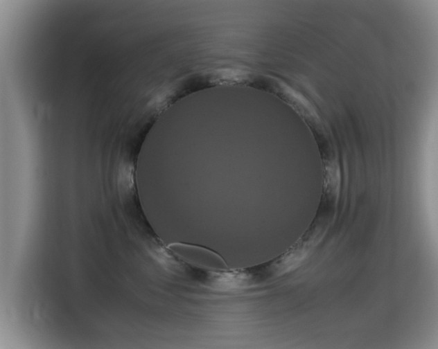 X0000115350621200911101137