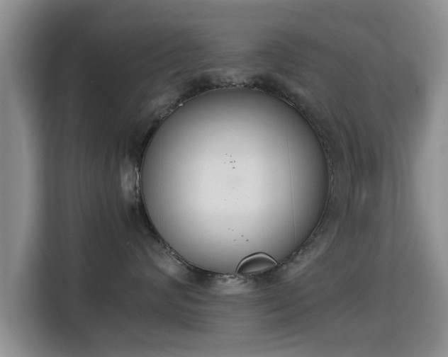 X0000115350624200911101137